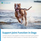 PRN Pharmacal Duralactin Canine Joint Plus Soft Chews - Joint Health Supplement for Dogs & Puppies - Pet Mobility Support - 90 Soft Chews