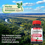 FITO MEDIC'S Lab | Cranberry Pills | Cranberry Supplement |120 softgels | Concentrate Extract