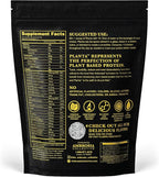Ambrosia Planta - Premium Plant-Based Protein | Vegan & Keto Friendly | Gourmet Flavors with No Bloating or Stomach Upset | Gluten & Soy Free | No Added Sugar | 14 Servings | (Vanilla)
