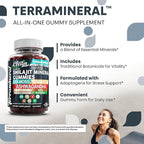 Terramineral Shilajit Gummies with Irish Sea Moss Tongkat Ali Ashwagandha Lion's Mane MACA Panax Ginseng Rhodiola & Cordyceps by Clean Nutra (1)