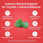 Thyroid Support Gummies - Selenium Supplement & Iodine Supplements for Thyroid Support - Energy Booster for Women and Men - Hypothyroidism Supplements with Metabolism Support