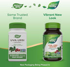 Nature's Way Uva Ursi Leaves, Traditional Urinary Support*, 1,110 mg per 3-Capsule Serving, Non-GMO Project Verified, Herbal Dietary Supplement, 100 Vegan Capsules (Packaging May Vary) - 2 Pack