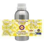 Deve Herbes Pure Dalmatian Sage Essential Oil (Salvia officinals) Steam Distilled 630ml (21 oz)