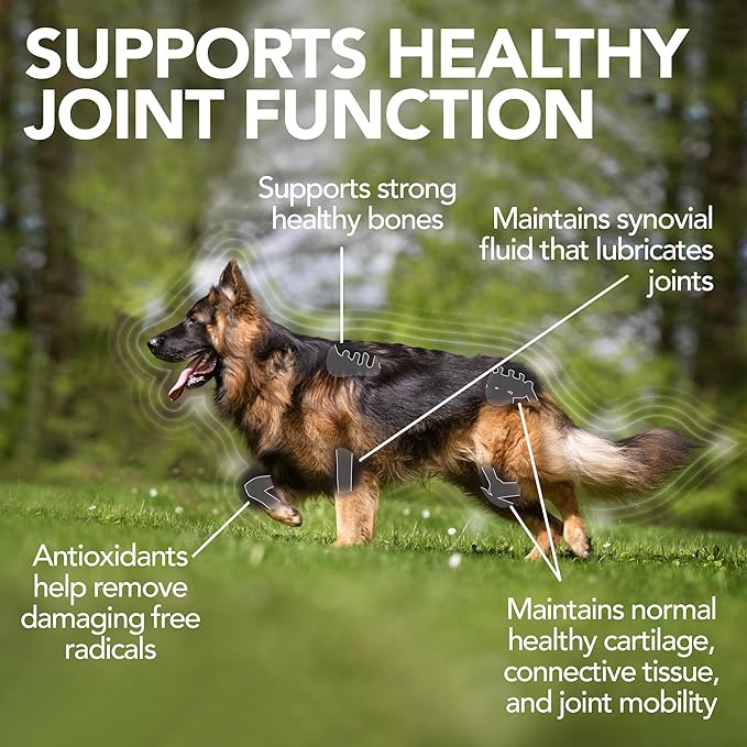 Vet's Best Advanced Hip & Joint Dog Supplements | Formulated with Glucosamine and Chondroitin to Support Dog Joint and Cartilage Health (3165810242)