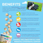 Dog Prenatal Vitamins – Multivitamin for Cats & Dogs, Folic Acid, Calcium, Iron, Minerals and Amino Acids. Ideal for Pregnant, Breastfeeding and Newborn – Senior Dog Supplement, Puppy Multi Vitamin.