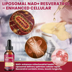 Liposomal NAD Supplement - 1200mg NAD+ Liquid Drops for Women & Men with Resveratrol, Black Pepper Extract - Support Anti-Aging, Brain & Cellular Mitochondrial Health - 2 Fl Oz Mixed Berry Flavor