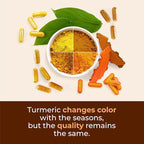 Turmeric Curcumin Supplement with Black Pepper Extract - High Potency Organic Turmeric 1200mg & 95% Curcuminoids for Joint & Digestive Health - Joint Support Supplement - 60 Curcuma Capsules - 2 Pack