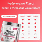 SteelFit Creapure Pure Creatine Monohydrate Powder for Men & Women, Watermelon - Flavored Creatine Gym Workout Supplements for Lean Muscle Gain, Brain Health & Strength Building - 30 Servings
