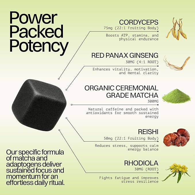 Organic Matcha & Mushroom Energy Gummies | Ceremonial Grade Matcha + Cordyceps, Reishi, Panax Ginseng & Rhodiola | Clean Sustained Energy, Focus & Stress Support | Vegan, Non-GMO