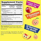 WellYeah Turmeric Curcumin with Black Pepper Gummies for Kids - Natural Immune Support, Joint and Muscle Health, Digestive Health, and Brain Function - Non-GMO, Vegan, Gluten-Free - 60 Count