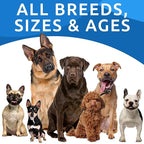 BARK&SPARK Dog Allergy Relief Soft Chews for Skin Health & Seasonal Allergies - Anti-Itch Supplement w/Omega-3, Quercetin & Bromelain Immune Treats for Dry Skin & Hot Spots - Grilled Chicken - 180ct