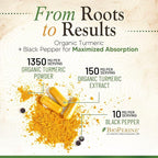 Turmeric Curcumin Supplement 1500mg - Organic Tumeric & BioPerine Black Pepper for Best Absorption with 95% Curcuminoids, Nature's Joint & Immune Support, Non-GMO, Bottled in USA - 360 Capsules