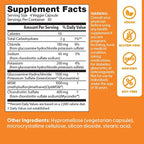 Doctor's Best Vegan Glucosamine Chondroitin MSM - Joint Health Support Supplement for Women & Men, Nutritional Support for Joint Strength, Hair, Skin, & Nails, Gluten Free, Non GMO - 120 Veg Capsules