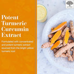 NEW NORDIC Turmeric Curcumin Gummies, Sugar Free, 300 mg Turmeric Supplement for Men and Women, Supports Normally Functioning Joints, Knees, Shoulders, Mango Orange, 60 Count
