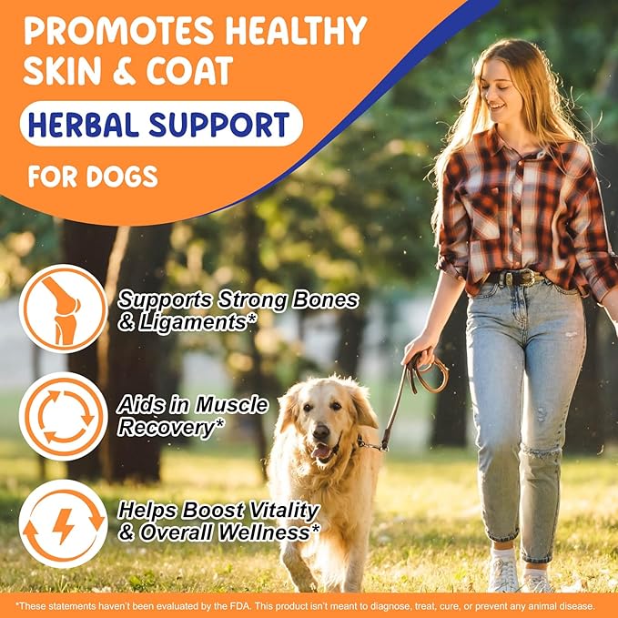Liquid Collagen for Dogs, Dog Joint Supplements, Skin and Coat Supplement, Dry and Itchy Skin Relief, Support Digestive Health, Dog Collagen Drops with Biotin, MSM, Ginger, Bacon Flavor