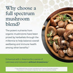 Youtheory Mushroom Stress Complex - 6 Mushroom Blend - Stress Management Support* - Immune Support - L-Theanine Supplement - Dairy, Soy & Gluten Free - 60 Vegetarian Capsules