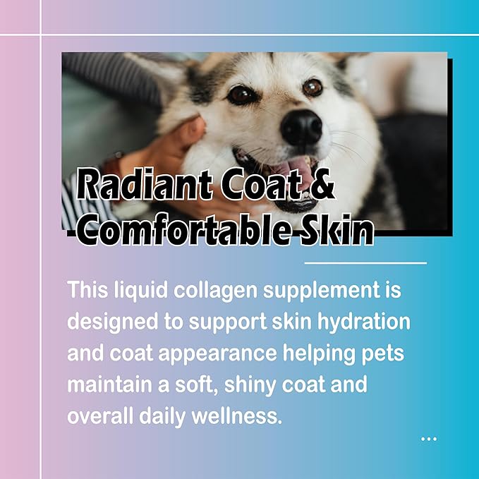 Healthy Petz Premium Liquid Collagen Drops for Dogs - Advanced Joint Support, Gut Health & Vitality Supplement, 2 Fl Oz