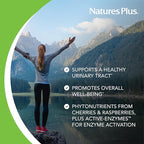 NaturesPlus Herbal Actives Ultra Cranberry 1500, 30 Tablets - Urinary Tract Support - Vegetarian, Gluten Free - 30 Servings