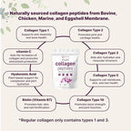 Micro Ingredients Multi Collagen Peptides Powder, 40 Stick Packs | Type I, II, III, V, X + Biotin, Vitamin C & Hyaluronic Acid | Unflavored | Supports Hair, Skin & Joint Health | Keto, Non-GMO