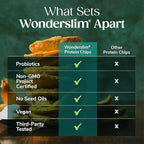 Wonderslim Protein Chips with Probiotics, Sour Cream & Onion | 12g Plant Protein, 170 Cal | High Protein Chips, Vegan, Gluten Free, Non-GMO | Made with Avocado Oil, No Seed Oils | 12 Pack