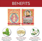 Po Chai Pills Herbal Supplement (Supports Immune and Gastrointestinal System) (10 vials) (1 Box)