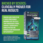MAGNOX® 520 | Magnesium Supplement 520mg of High Absorption Magnesium for Men & Women with Dead Sea Minerals | 3X More Absorption | Patented Formula | Fast Sleep & Muscle Pain Relief (60 Vegan Caps)