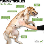 Deley Naturals Probiotics Plus Chews for Dogs - Gut Health Supplement with 5 Billion CFU's & Digestive Enzymes - Prebiotics for Dog Allergies, Diarrhea & Yeast - 90 Count Pumpkin Flavor Made in USA
