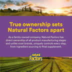 Natural Factors Pharma GABA - Dietary Supplement Supports Calm Sleep & Sleep Quality - Natural, Fast-Working Supplement Aids Focus & Brain Health - 60 Chewable Tablets (60 Servings)