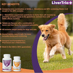 Comprehensive Liver Support Supplement for Large Dogs. Flavorful Chewable Tablets Combining Same, SPC, Silybin A+B, + Glutathione 30Ct (Large)