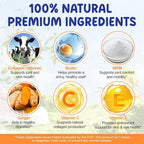 Liquid Collagen for Dogs, Dog Joint Supplements, Skin and Coat Supplement, Dry and Itchy Skin Relief, Support Digestive Health, Dog Collagen Drops with Biotin, MSM, Ginger, Bacon Flavor