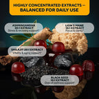 VitaUp Himalayan Shilajit Gummies for Men & Women – Sugar-Free Shilajit Gummies with Fulvic Acid – Pure Energy, Immune & Healthy Aging Support – 60 Gummies