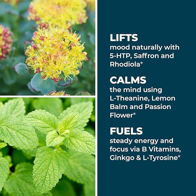 LifeSeasons - Mood Stabili-T - Positive Mood Booster - Enhanced Calmness and Happiness - Relaxed and Balanced Mind - Contains Rhodiola, Ginkgo Biloba, and Vitamin D3 - (60 Capsules)
