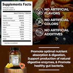 Santa Cruz Paleo, Pre-Feast Digestive Enzymes Supplement, Multi Enzyme for Women and Men, Fiber Supplement for Gut Health & Digestive Health, Gluten Free, Keto, Paleo, Sugar Free, 60 Capsules