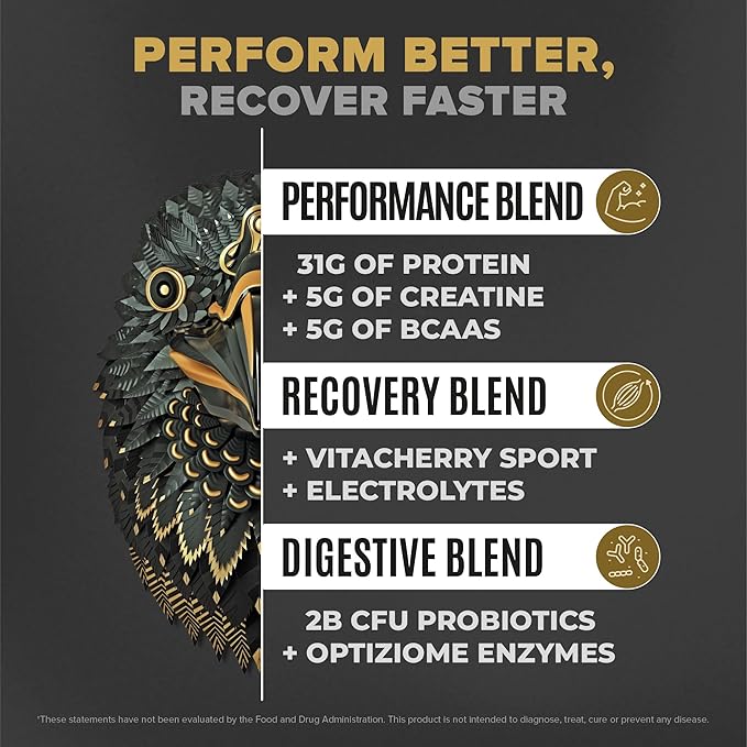 BIRDMAN Falcon Performance Vegan Protein Powder, 31g Protein, 5g Creatine, 5g BCAA, Probiotics, Electrolytes, Pre Workout, Low Carb, Sugar Free & Dairy Free, Plant Based Vanilla Protein -19 Servings