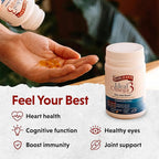 Barlean's Ideal Omega 3 Fish Oil Supplement, 1,000 mg Softgels, Pharmaceutical Grade EPA & DHA for Brain, Joint, & Heart Health, Orange Flavor, 60 ct