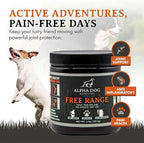 Alpha Dog Nutrition Free Range Dog Hip & Joint Supplement Powder with Glucosamine, Chondroitin, MSM - Hip & Joint Support for All Breeds