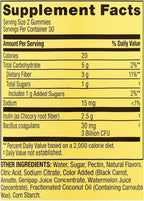 Spring Valley Adult Probiotic + Prebiotic Gummies, 60 Count +Better Guide Vitamins Supplements