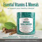 COUNTRY FARMS Irish Sea Moss Gummies, 2000mg Irish Moss, Burdock Root, Bladderwrack for Immune Support, Promotes Digestive Health, Skin and Hair Support, Pectin Based, Vegan, Gluten Free, Green Apple