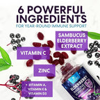 Elderberry Gummies - Black Elderberry Extract Immune Support Gummy with Vitamin C, D3 and Zinc - Sambucus Immune Health Support Supplement for Kids & Adults, Black Elder Berry Vitamins - 60 Gummies