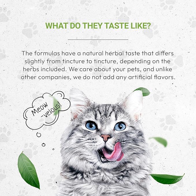 Lion's Joints | Natural Herbal Dietary Supplement for Cats | Healthy Joints Support in Cats | Alcohol-Free Extract, Calendula, Dandelion Root, Chamomile, Lavender, Fennel 2 oz
