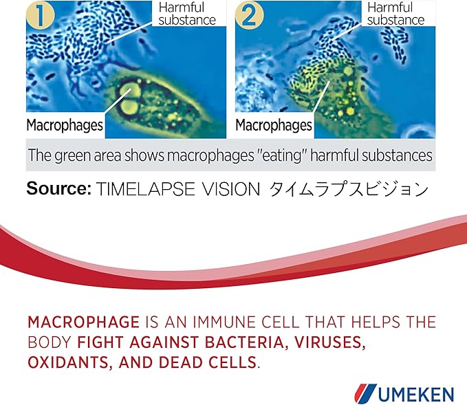 Umeken Lipopo - Lipopolysaccharide, Beta-glucan from Yeast, Lactic Acid Bacteria, and Vitamin C. Made in Japan. (Small 30Pk)
