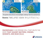 Umeken Lipopo, 3 Month Supply- Lipopolysaccharide, Beta-glucan from Yeast, Lactic Acid Bacteria, and Vitamin C. 90 Packets. Made in Japan.