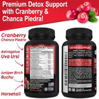 Kidney Cleanse Detox Support Supplement - Natural Cranberry, Juniper Berries, Buchu & Uva Ursi Extract to Support Kidneys, Bladder & Urinary Tract Health Supplements - Herbal Renal Blend Formula Pills