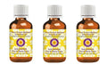 Deve Herbes Pure Gurjun Balsam Essential Oil (Dipterocarpus turbinatus) Steam Distilled (Pack of Three) 100ml X 3 (10 oz)