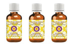 Deve Herbes Pure Gurjun Balsam Essential Oil (Dipterocarpus turbinatus) Steam Distilled (Pack of Three) 100ml X 3 (10 oz)