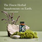 Gaia Herbs Steady Mind - Supplement Support with Herbs Traditionally Used for Stress Relief* - with St. John's Wort, Passionflower, Vervain & Oats - 60 Vegan Liquid Phyto-Capsules (60 Servings)