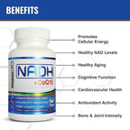 MAAC10 NADH + CoQ10 Supplement | Great Tasting Chewable Tablets | 50mg PANMOL® NADH + 100mg CoQ10 | for Fatigue, Energy and Mental Focus | NAD+ Supplement (60 Tablets 2 per Serving)