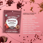 Four Sigmatic Perform Super Powder with Super Fruits and Antioxidants Red Raspberry - Can