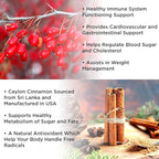 VIDAVITE Berberine with Ceylon Cinnamon Gummies — Sugar-free, 98% Pure & 10x Absorption — 1200mg HCL Organic Berberine Supplement for Weight Management, Immunity, Metabolic & Digestive Health(30 Days)