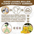 Mullein Gummies, 2000mg Organic Mullein Leaf Extract for Clear Lungs, Boost Respiratory & Digestive, Immune Booster for Adults & Kids, Allergy Friendly, Non-GMO, 120 Gummies